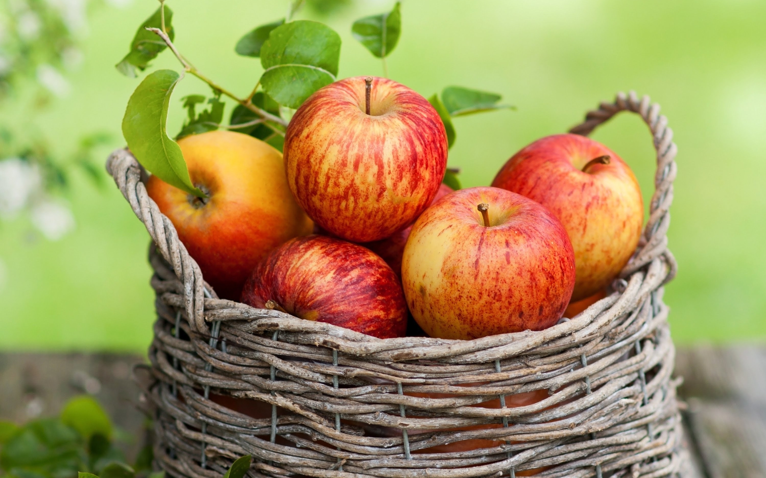 Image: Apples, fruit, harvest, basket, summer, vitamins