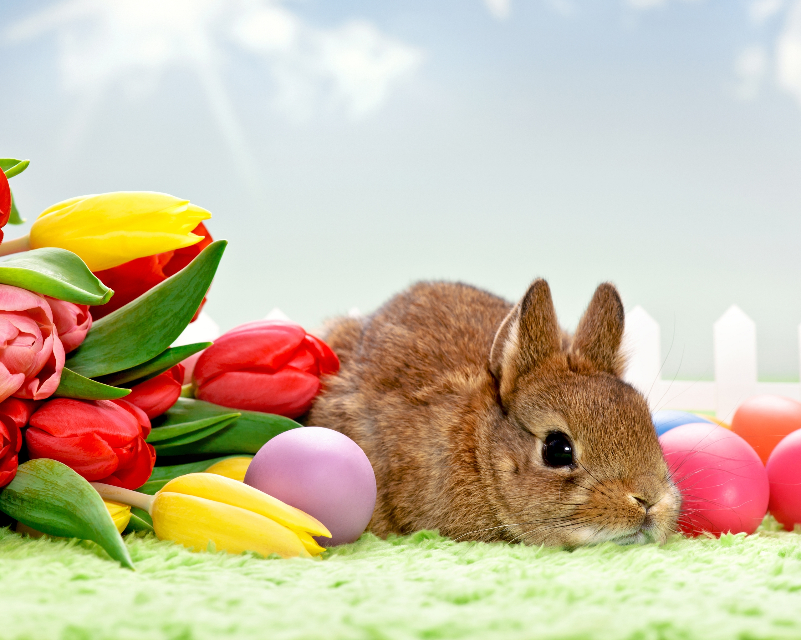Image: Rabbit, bouquet, tulips, flowers, eggs, Easter