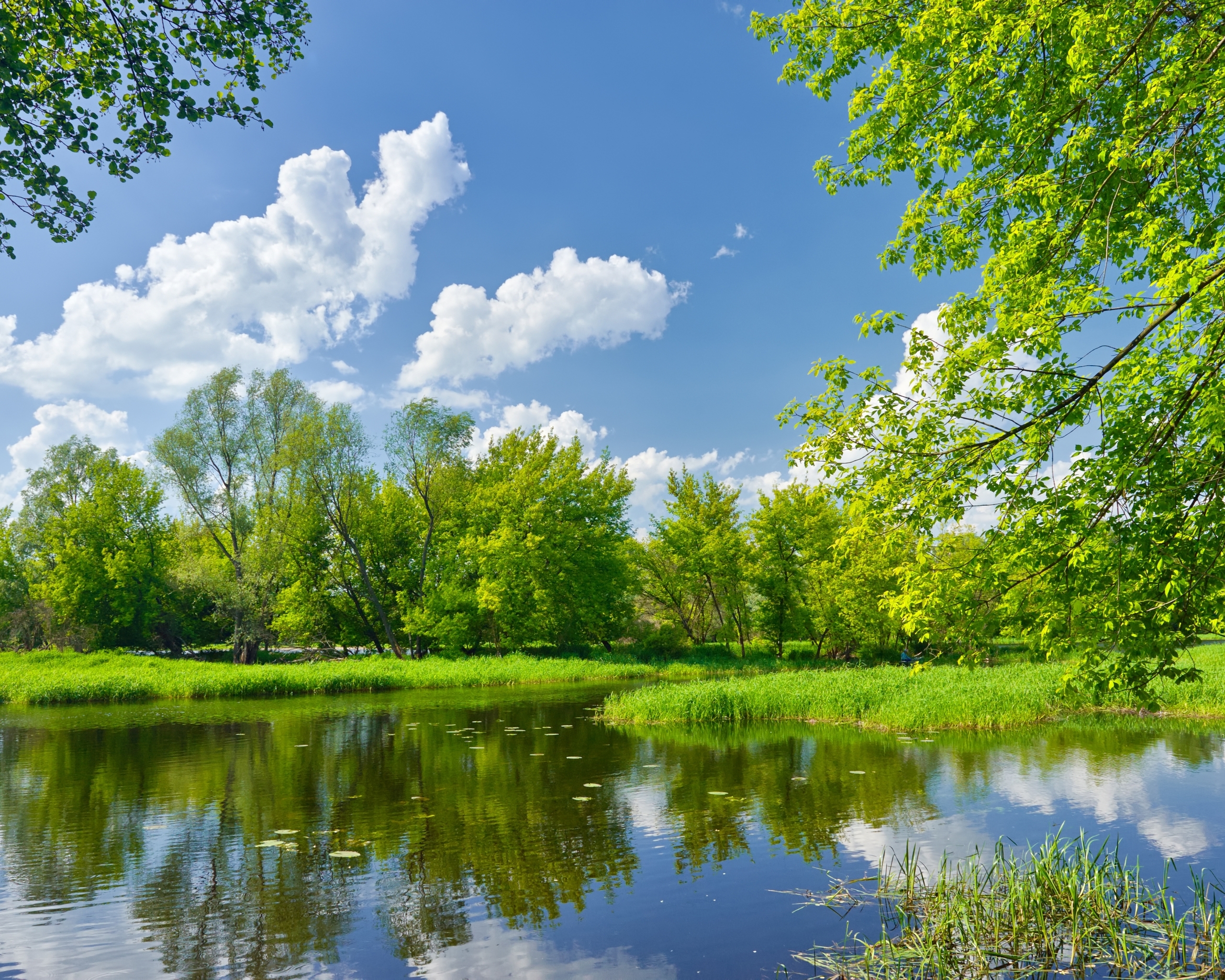 Картинка: Река, лето, пейзаж, вода, отражение, деревья, облака