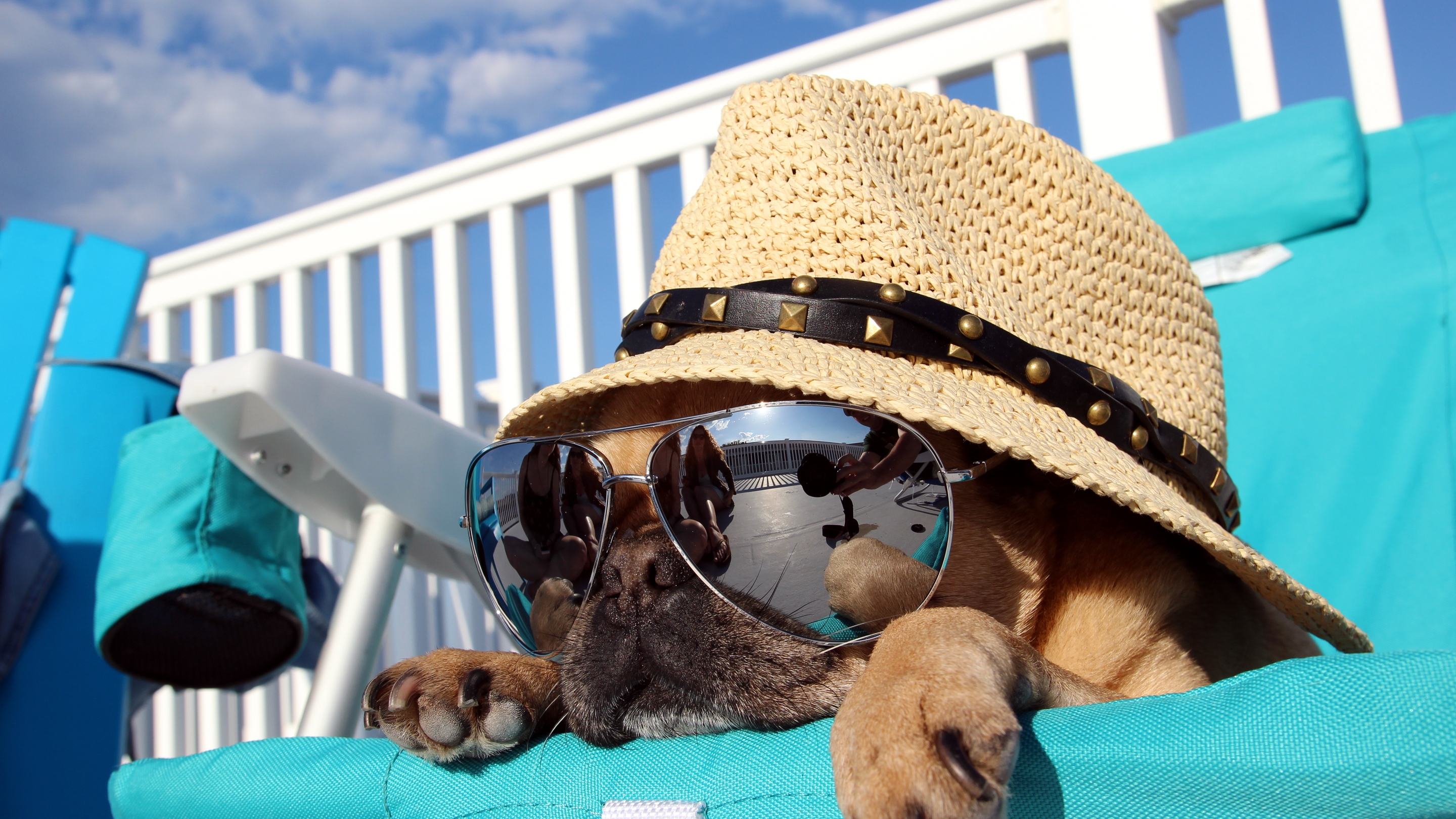 Image: Dog, hat, glasses, reflection, lies, sunbed, vacation, sky, clouds