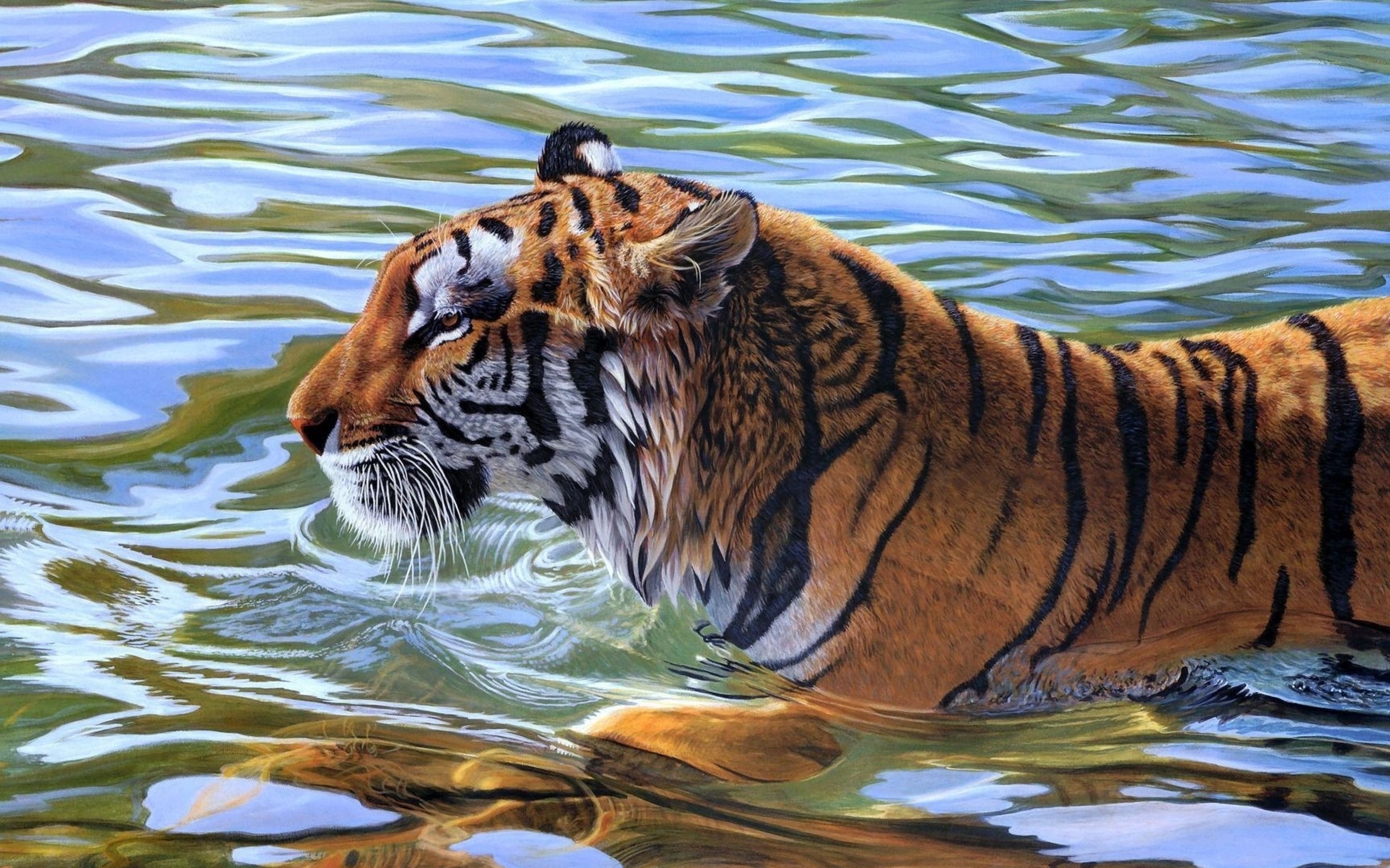 Картинка: Тигр, кошка, хищник, полосатый, усатый, зверь, плывёт, вода