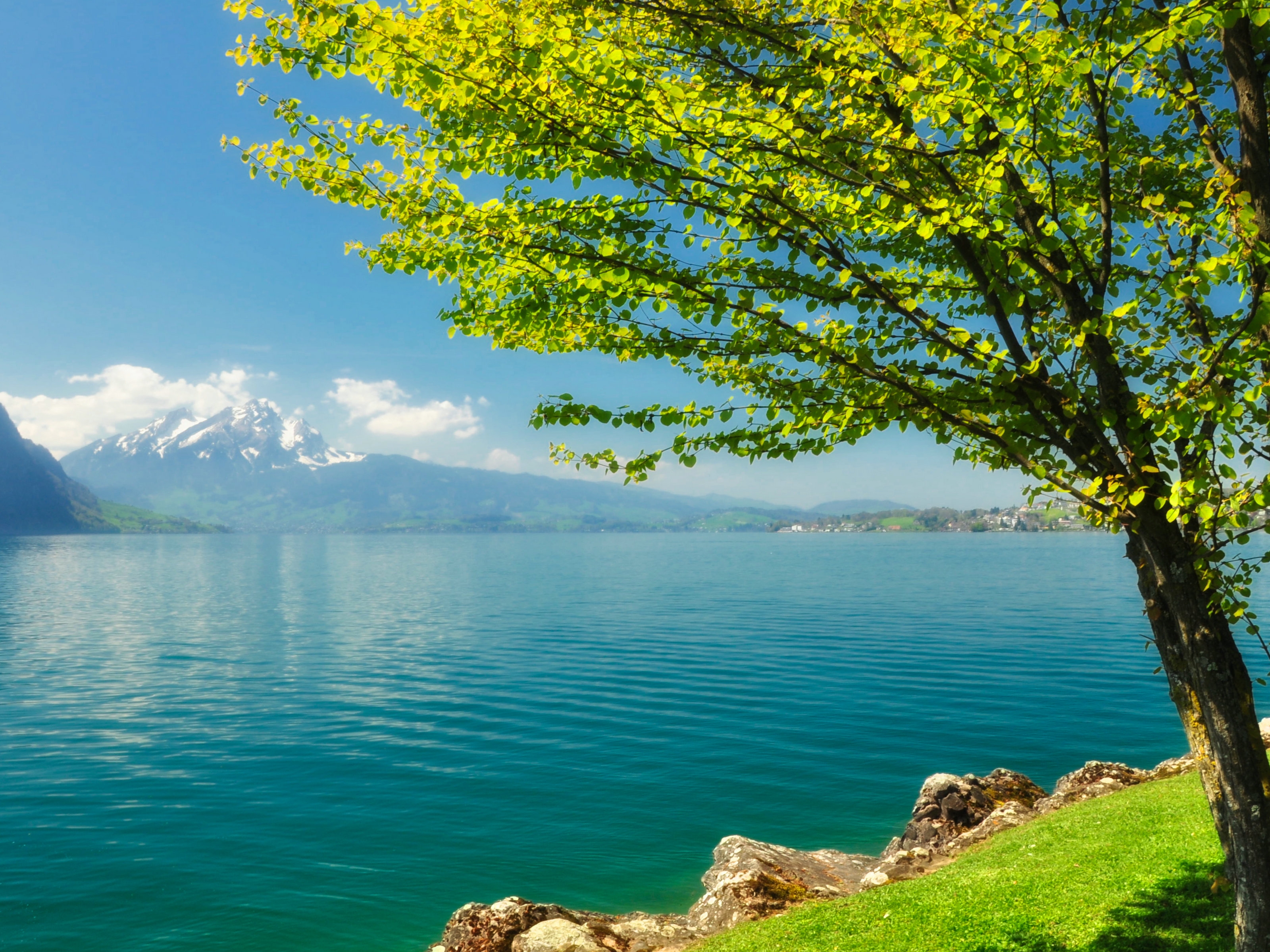 Image: Tree, foliage, blue lake, water, mountains, stones, sky, clouds