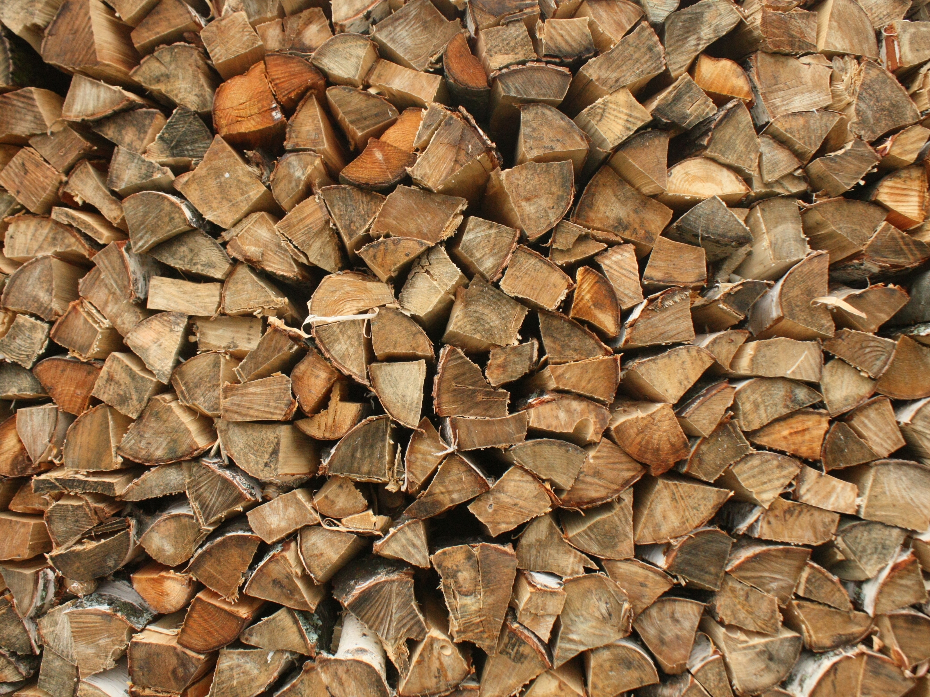 Image: Firewood, firewood, birch, tree