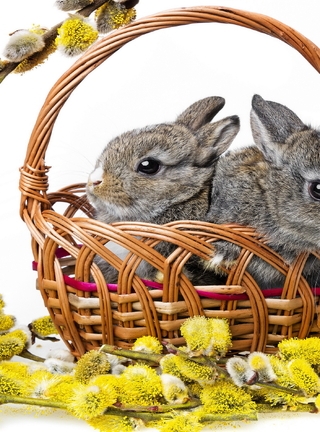 Image: Rabbits, two, basket, willow, twigs