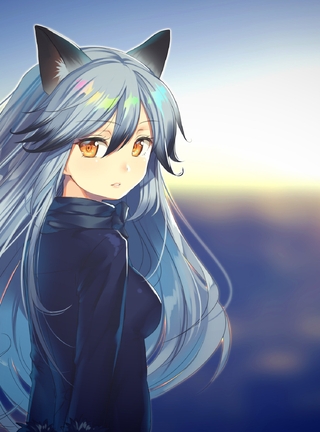 Image: Girl, Fox, ears, hair, blurred background