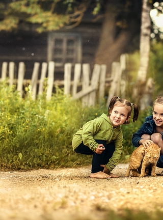 Image: Girl, cat, sit, walk, play, village, town, road, grass, trees, mood, joy, smile