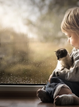 Картинка: Мальчик, сидит, котёнок, окно, капли, дождь, грусть