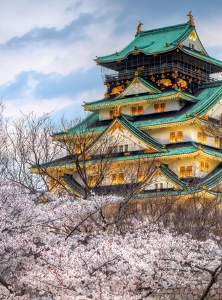 Картинка: Осака, Япония, замок, крыша, сакура, цветение, деревья, небо, облака