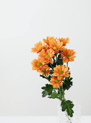 Картинка: Цветы, букет, ваза, светлый фон