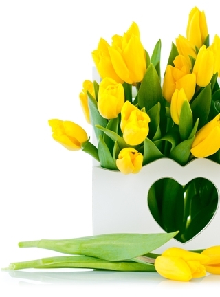 Картинка: Тюльпаны, цветы, букет, жёлтые, ваза, сердце, белый фон