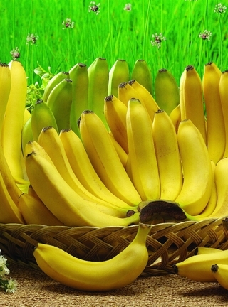 Картинка: Бананы, фрукты, корзина, лежат, желтый, трава, ромашки, цветы