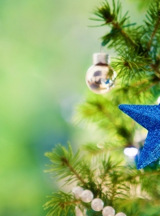 Картинка: Синяя звёздочка, иголки, ель, бусы, шары, украшение