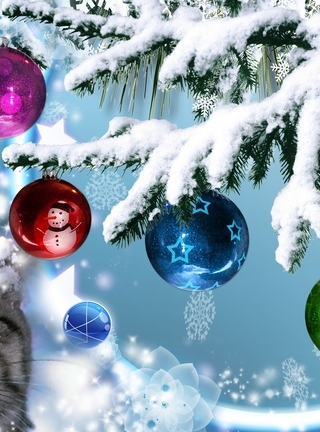 Картинка: Кот, морда, снег, снежинки, ёлочка, игрушки, шары, звёздочки, снеговик, зима, Новый год, праздник
