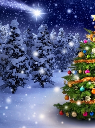 Image: nature, new year, snow, tree, holiday, forest