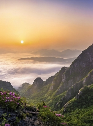 Image: Mountains, fog, clouds, sky, flowers, hills, grass