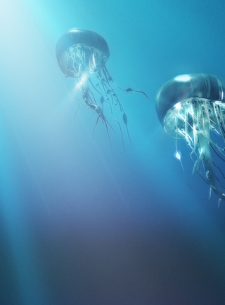 Image: Jellyfish, light, ocean, sea, tentacles, dome