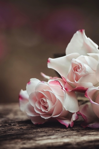 Image: Roses, bouquet, three, flowers, pink