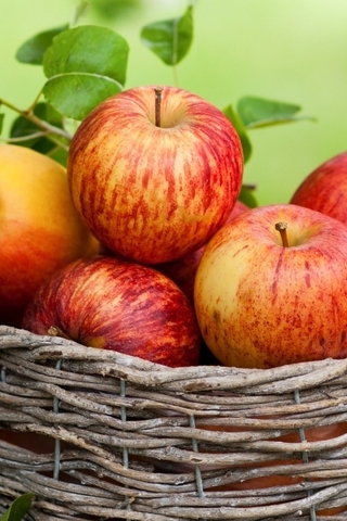 Картинка: Яблоки, фрукты, урожай, корзинка, лето, витамины