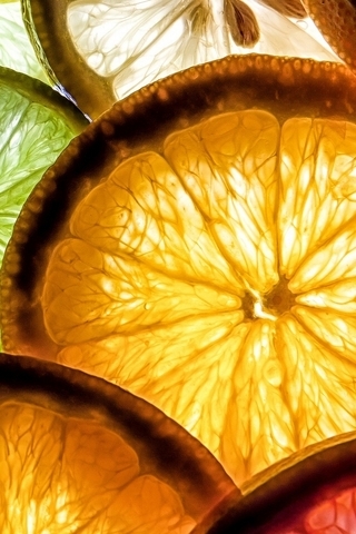 Картинка: Цитрусы, апельсин, грейпфрут, лайм, дольки