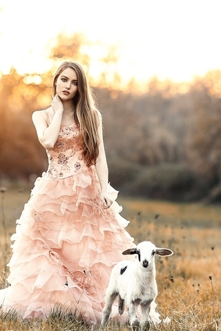 Картинка: Девушка, длинные волосы, платье, козлёнок, поле, закат