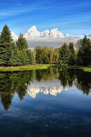 Image: Forest, lake, water, reflection, sky, mountains, spruce