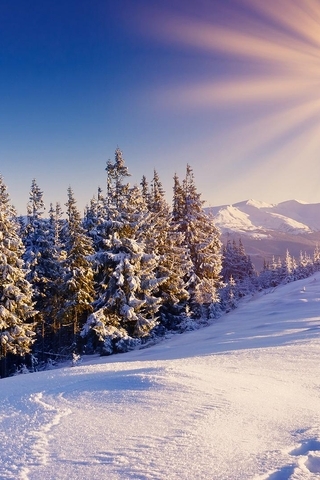 Image: nature, winter, mountains, sky