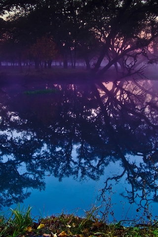 Картинка: Лес, туман, вечер, вода, озеро, отражение, небо