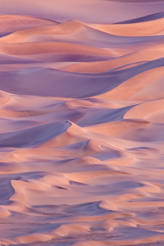 Картинка: Пустыня, барханы, дюна, песок