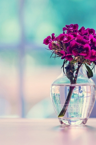 Картинка: Цветы, букет, гвоздика, ветка, ваза, вода