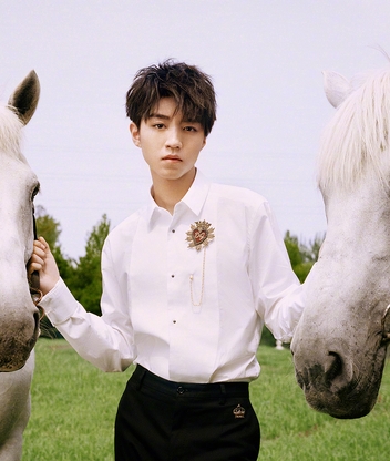 Картинка: Парень, лошадь, белая, позирует, природа