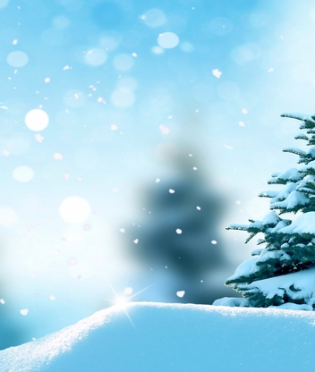 Картинка: Зима, снег, лес, ёлка, боке