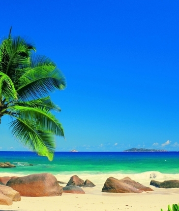 Картинка: природа, пальма, океан, небо, песок, камни