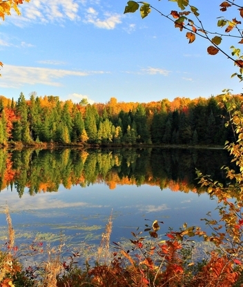 Image: Autumn, leaves, trees, water, reflection