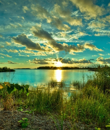 Картинка: Лето, озеро, вода, деревья, трава, зелень, облака, небо, солнце, закат