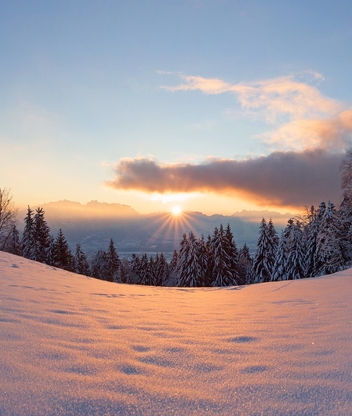 Картинка: Зима, снег, следы, деревья, ёлки, хвоя, солнце, лучи, небо, облака, вечер, закат