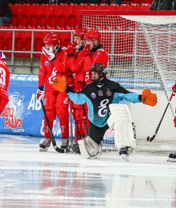 Image: hockey, bandy, match