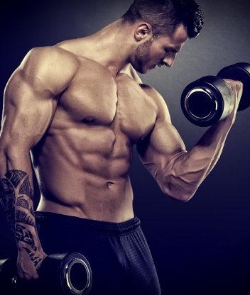 Image: Male, bodybuilder, muscle, body, tattoo, dumbbell