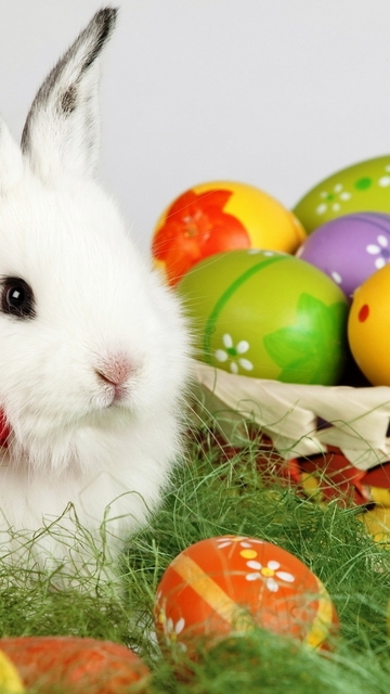 Image: Easter, decorated eggs, white rabbit, bowknot, ribbon