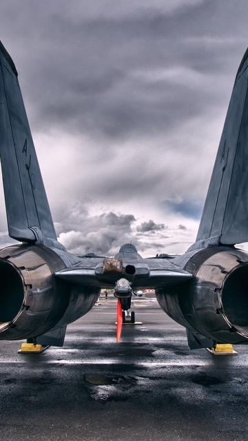 Картинка: Grumman, f 14, tomcat, реактивный, истребитель, турбины, двигатель, небо, тучи