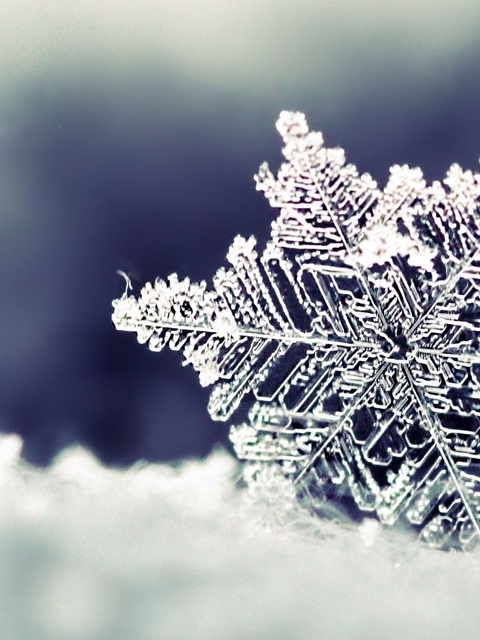 Image: Snowflake, winter, form, ice, snow