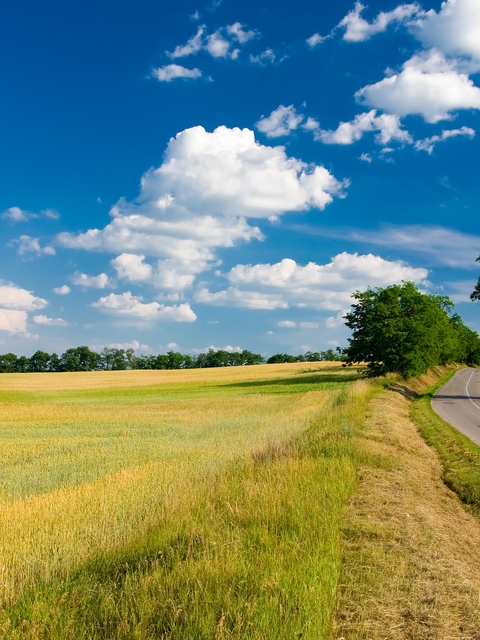 Картинка: Дорога, трасса, даль, лето, трава, деревья, поле, небо, облака, день