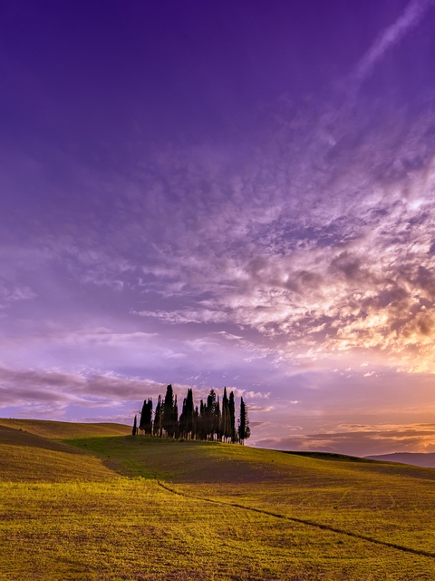 Картинка: Тоскана, Италия, поле, небо, облака, холмы, деревья, закат, пейзаж