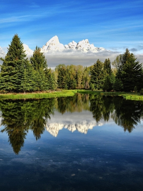 Картинка: Лес, озеро, вода, отражение, небо, горы, ель