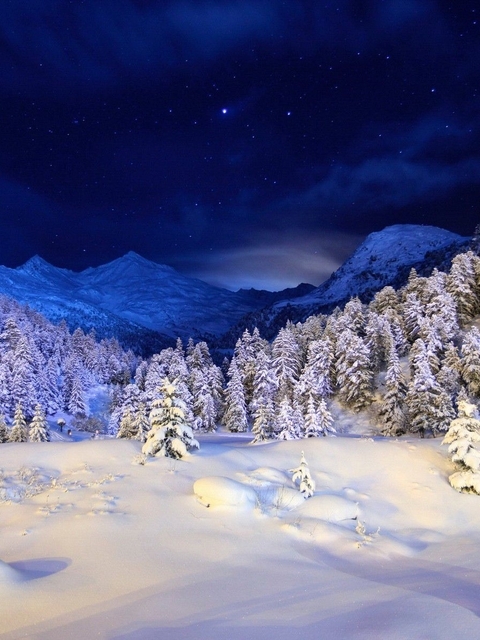 Картинка: Зима, снег, лес, ночь, небо, звёзды, елки, холм, горы