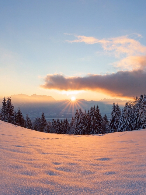 Картинка: Зима, снег, следы, деревья, ёлки, хвоя, солнце, лучи, небо, облака, вечер, закат