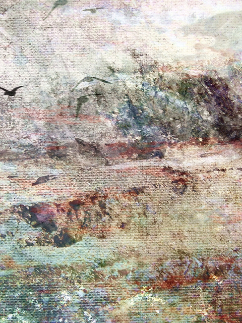 Картинка: Птицы, чайки, обои, фон, море
