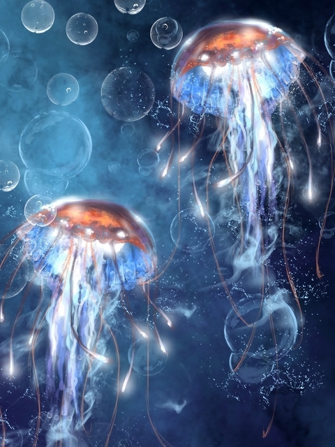 Image: Jellyfish, bubbles, tentacles