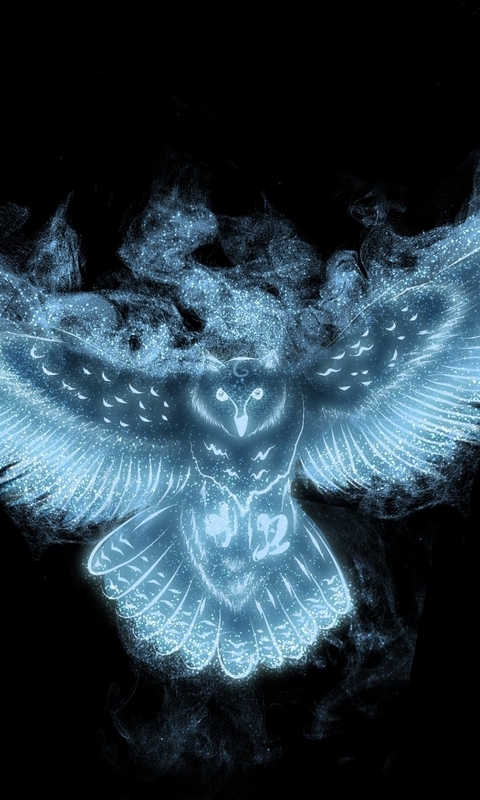Картинка: Сова, крылья, чёрный фон, частицы