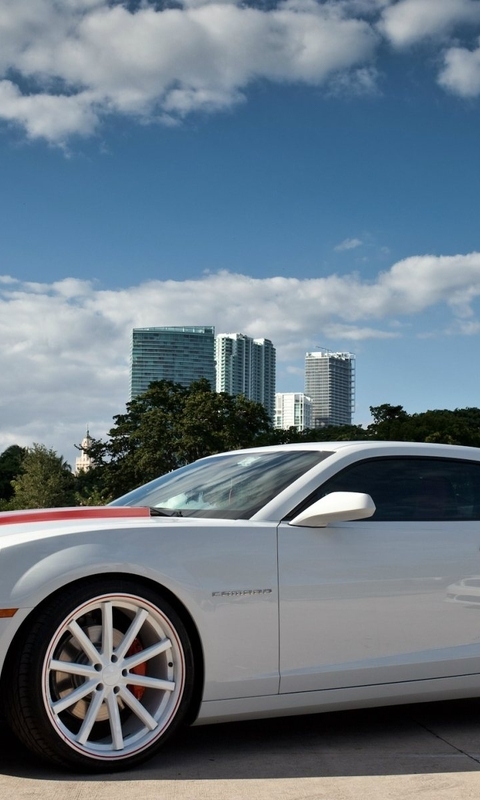 Картинка: Chevrolet Camaro, Шевроле Комаро, белый, колёса, здания, высотки, небо