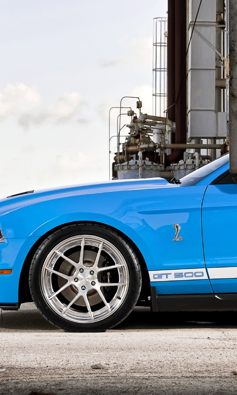 Картинка: Форд, Мустанг, шелби, GT 500, голубой, колесо, ограждение, сетка